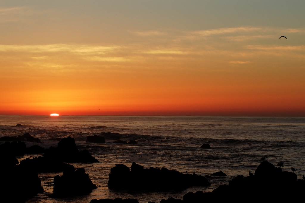 San Francisco - de retour de Monterey ... une plage